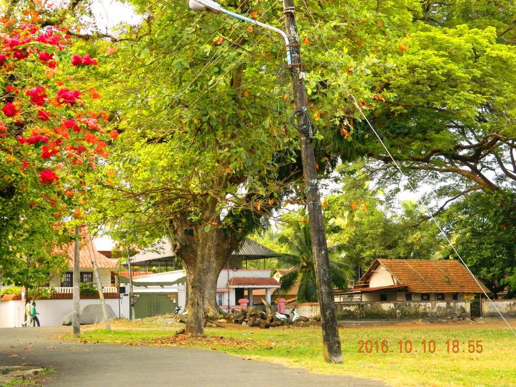 David Homes Kochi Exterior photo